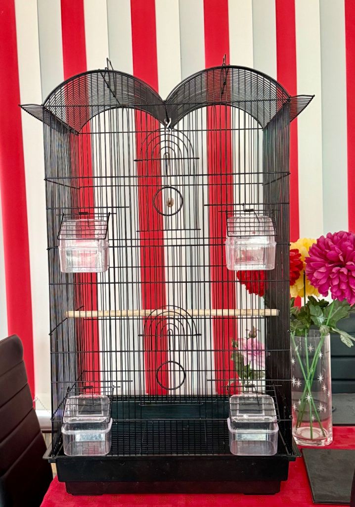 Bird cage