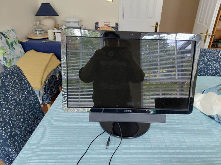 Dell LCD Monitor 