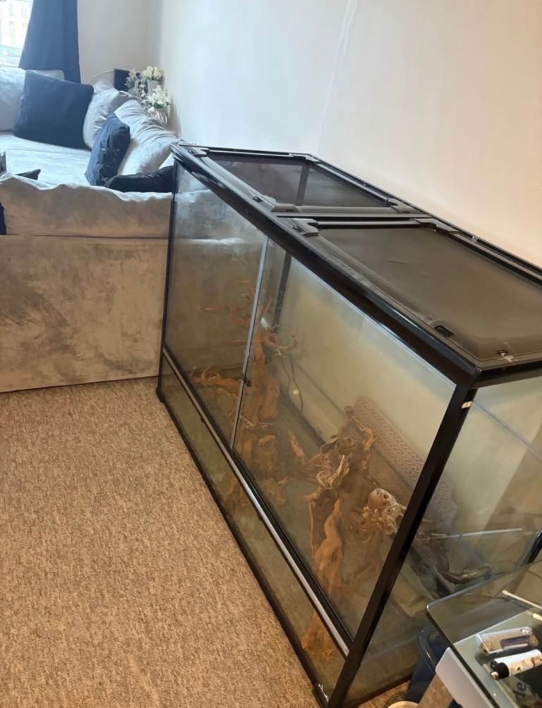 Betta terra viv XL