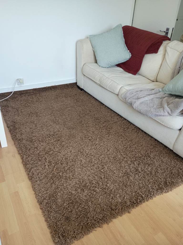 Large brown rug 