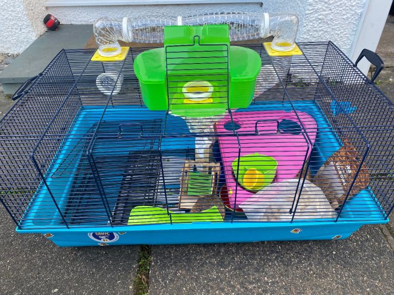 Hamster cage and accessories 