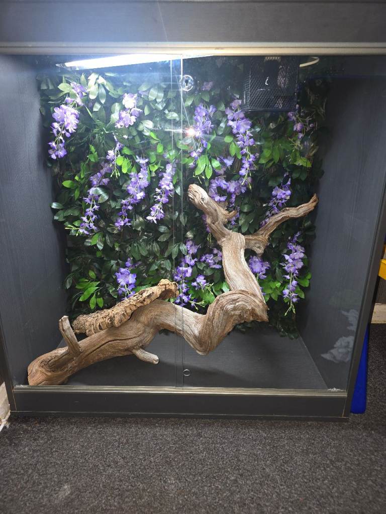 Vivarium 