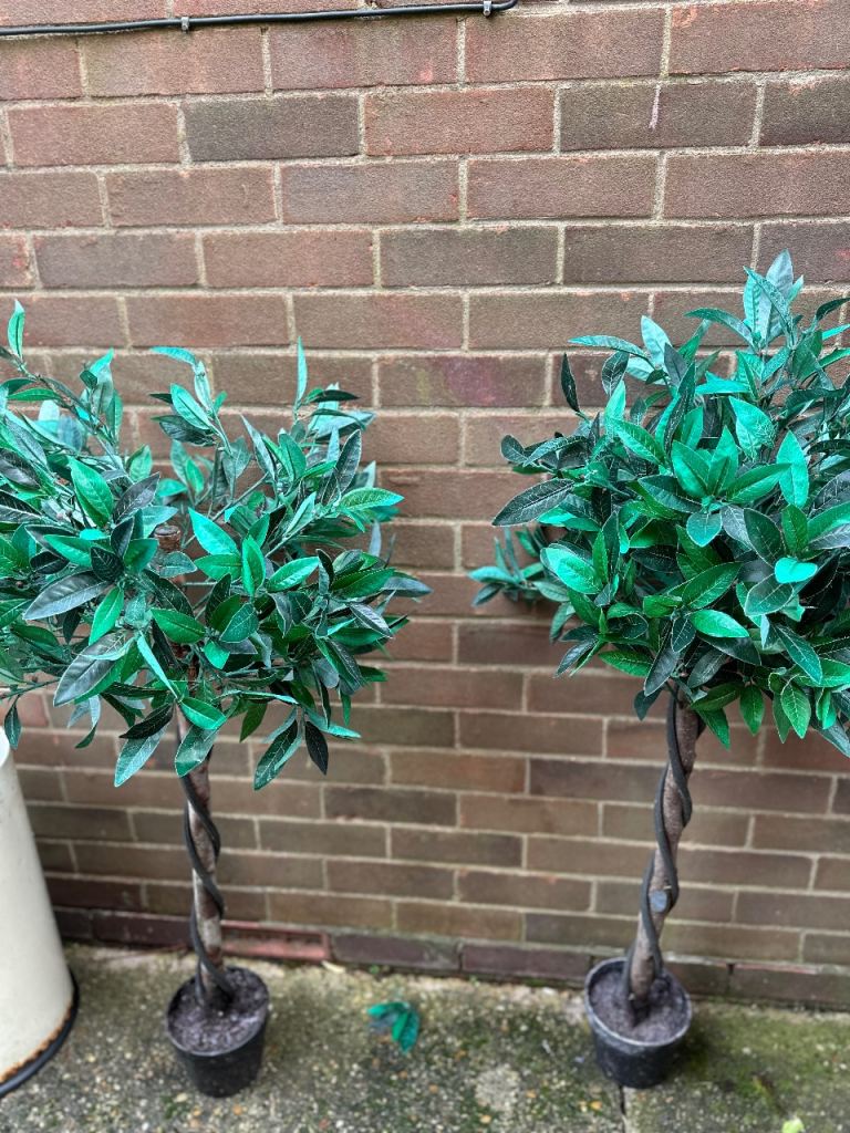 2 faux Bay trees 