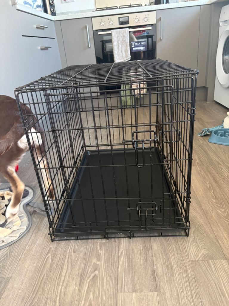 Dog crate 