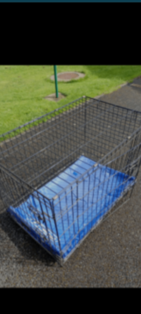 Dog cage 