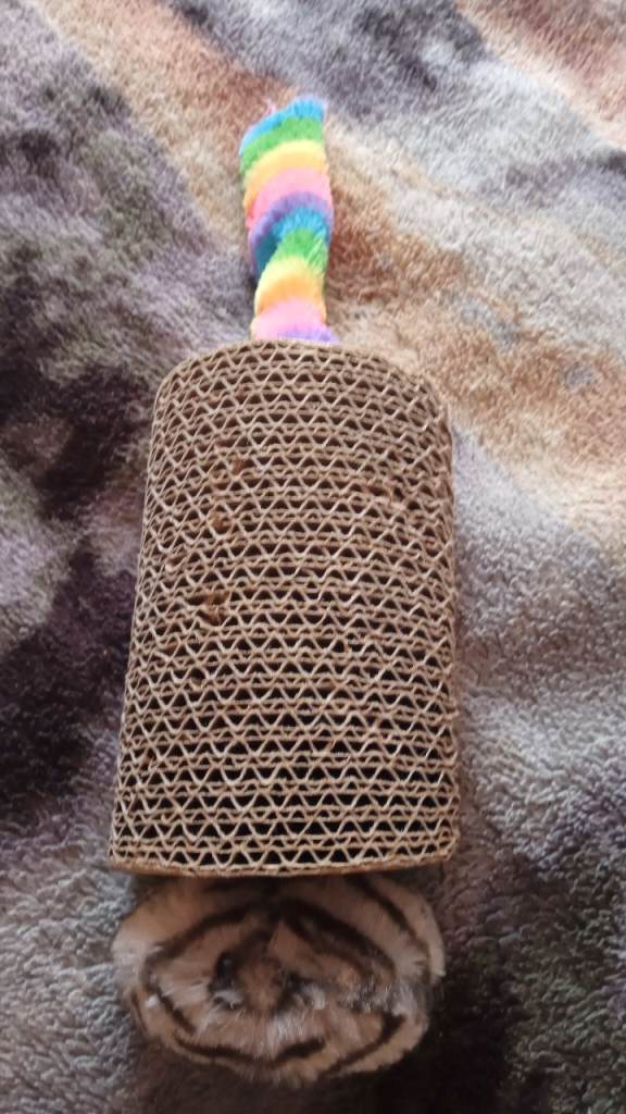 Cat toy new never used £5