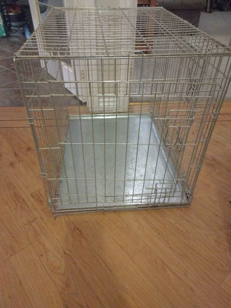 Dog crate 