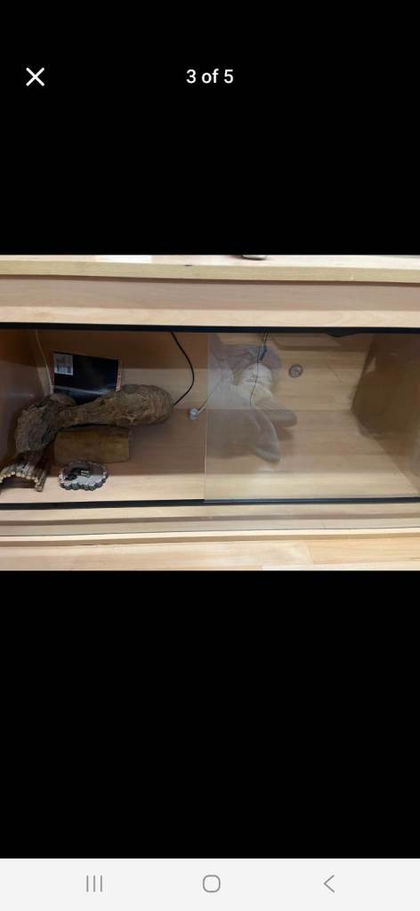 Vivarium/reptile tank 