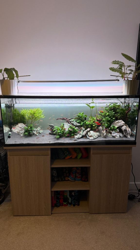 Aqua One Horizon 182 Aquarium + Cabinet + Heater