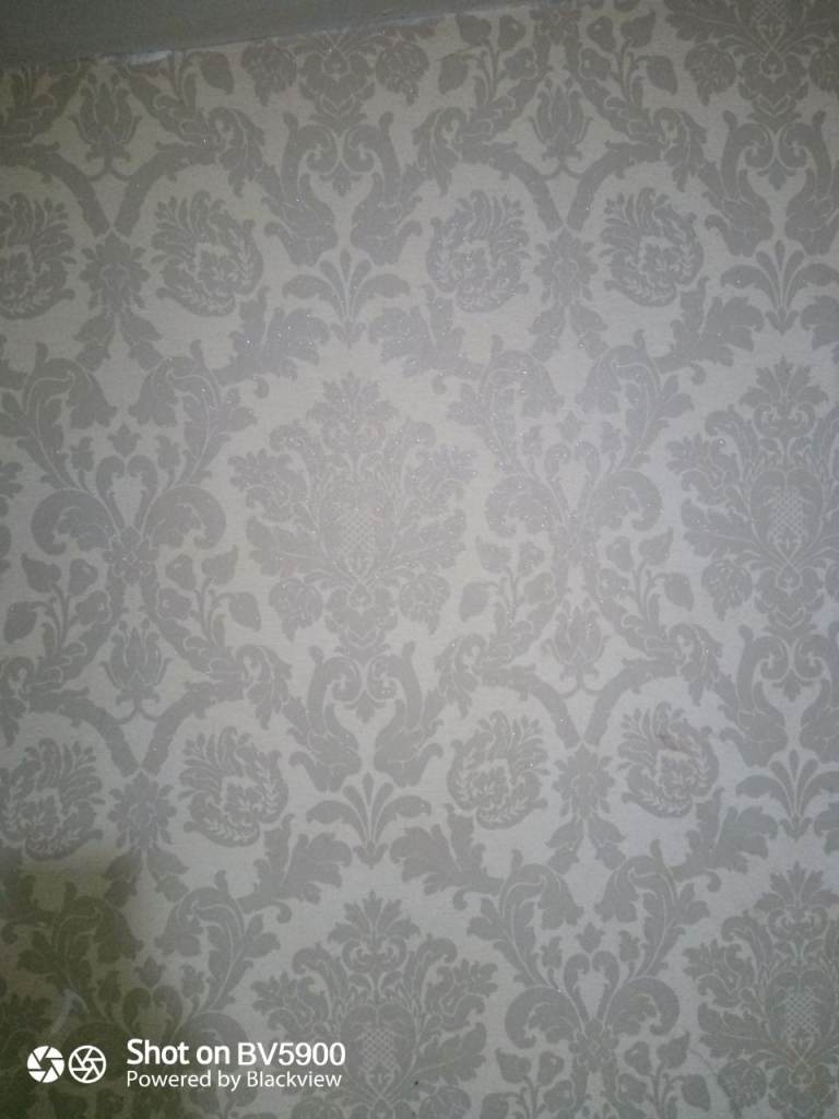 painter decorator