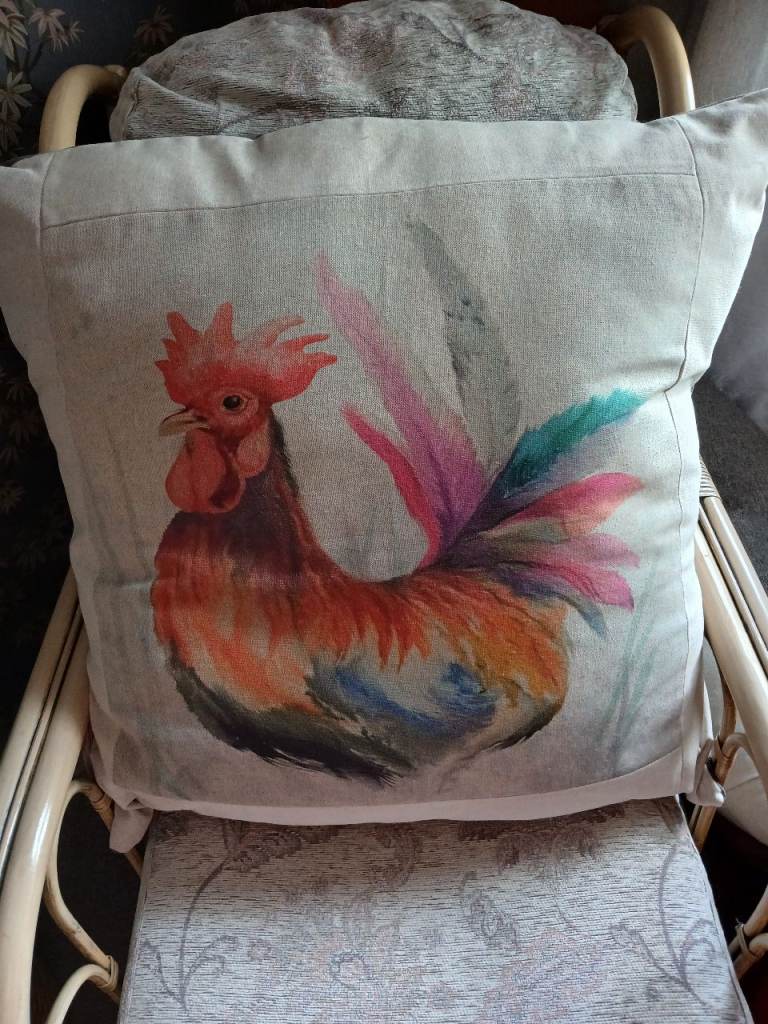 Chicken cushion 