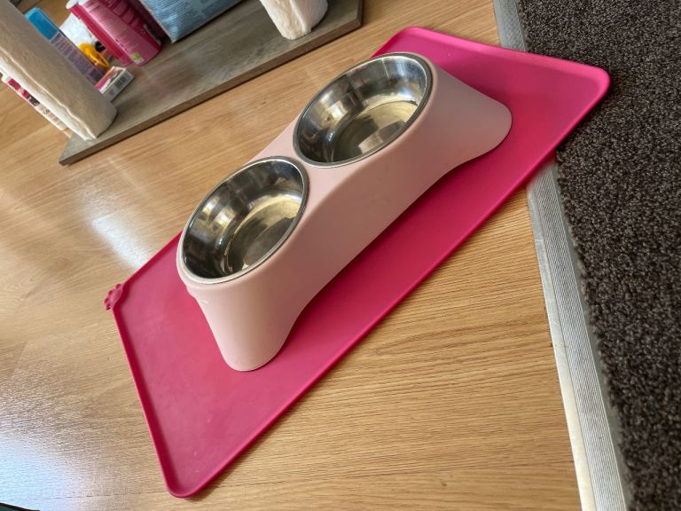 cat food bowls and feeding mat - FREE
