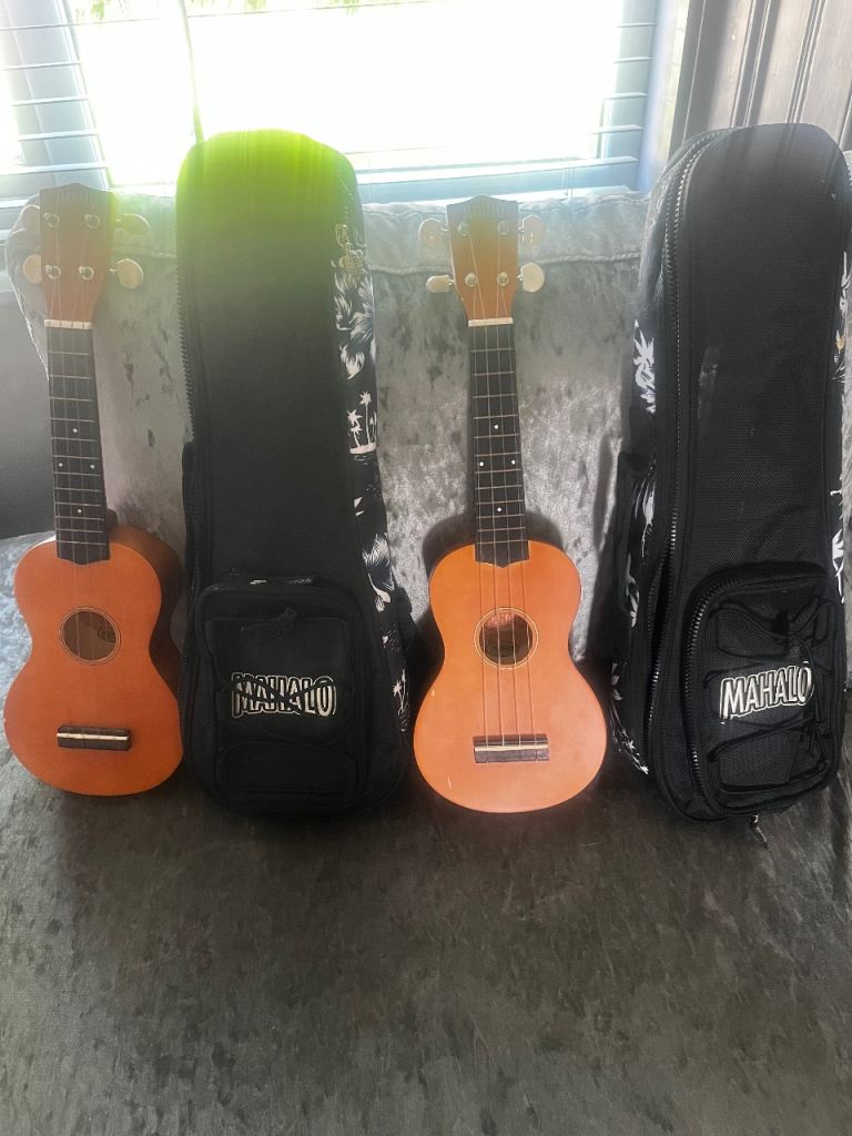 Ukulele 
