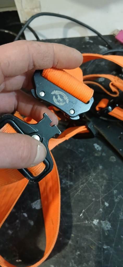 Xl bully colar n lead