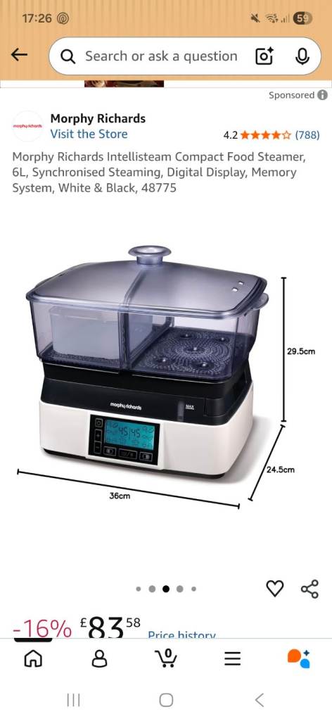 Morphy richards intellsteam compact