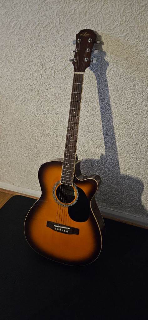 Guitar Acoustic/Electric