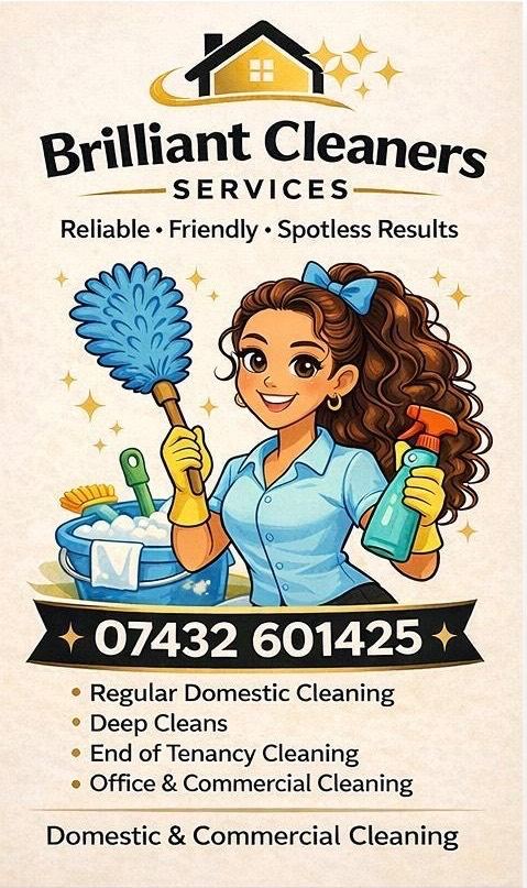 Professional House Cleaning Services ✨