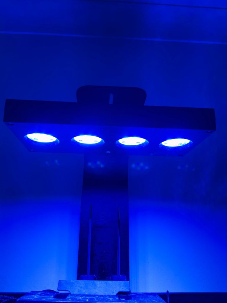 HD AI 64 light 