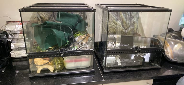 Complete reptile set up 