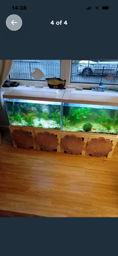 Aquarium Tank 