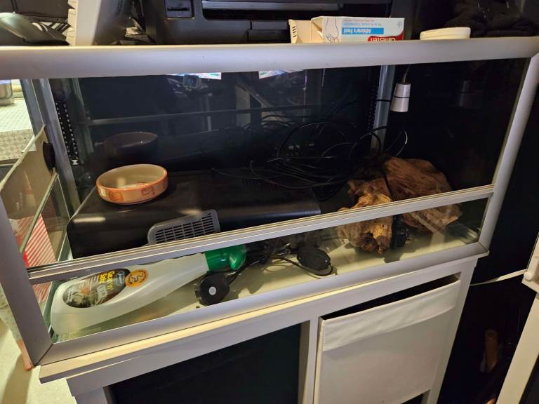 2.5ft Vivarium and all accessories 