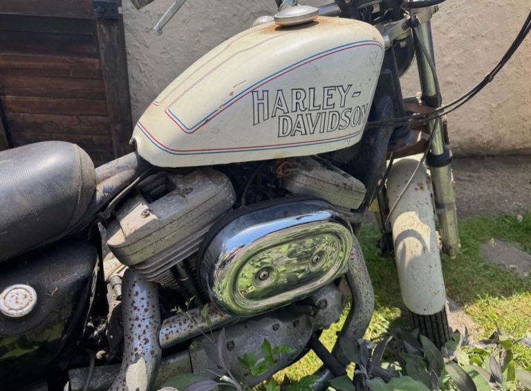 Harley-Davidson 883 custom sportster barn find project