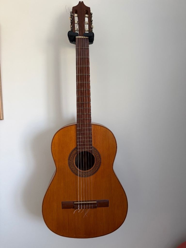 Flamenco/Acoustic Guitar