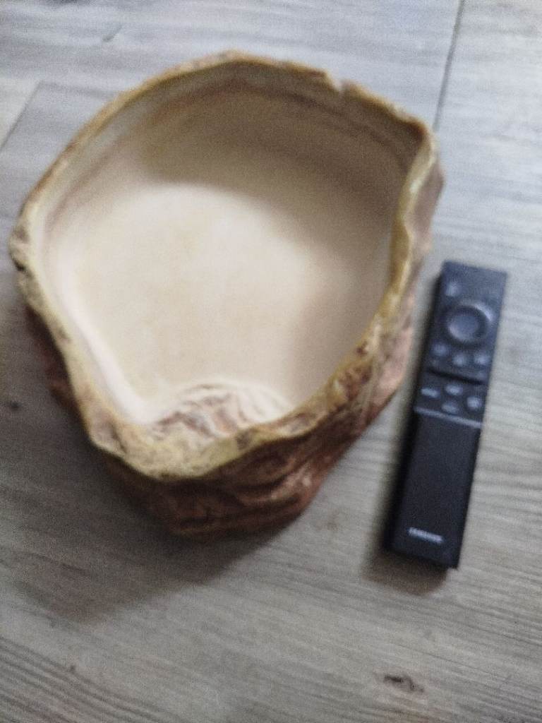 Exo Terra large dish
