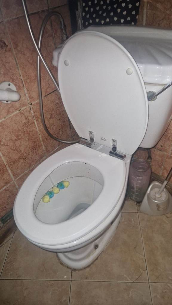 White Ceramic Toilet with Seat