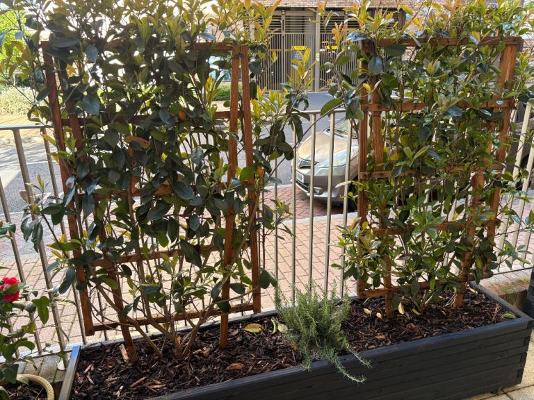 200x40x40 Black wood planters