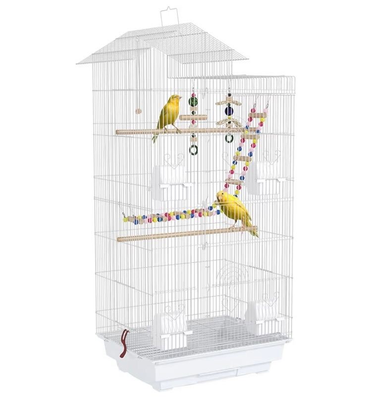 Bird cage 