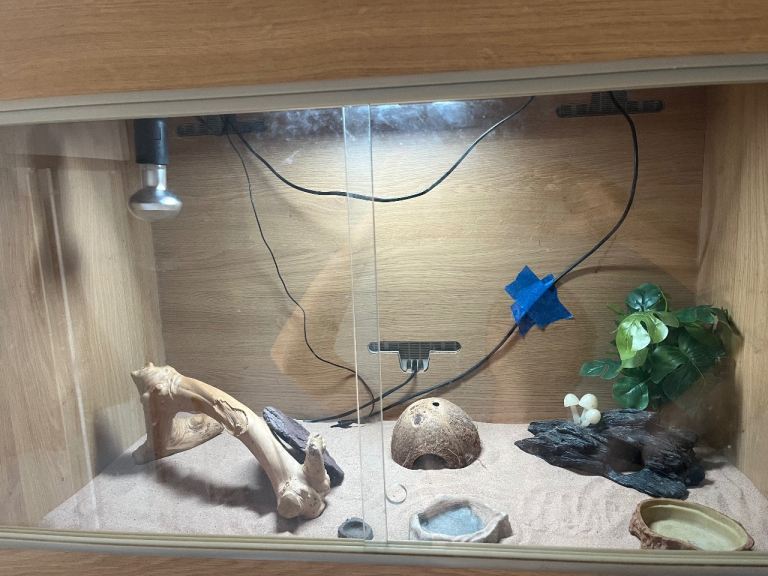 Reptile vivarium 