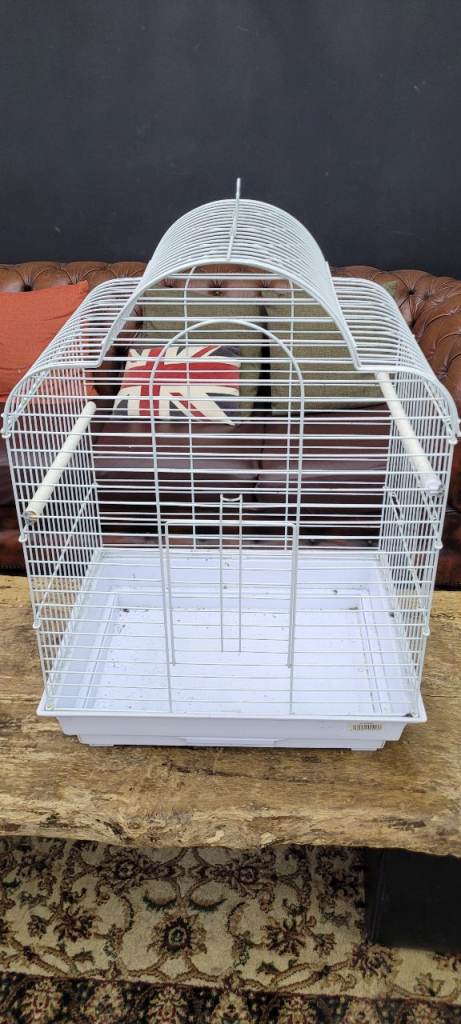 Bird cage 