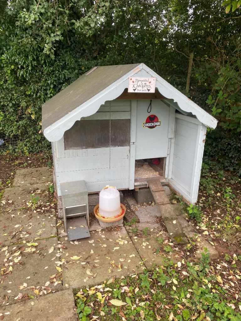Pretty chicken coop 