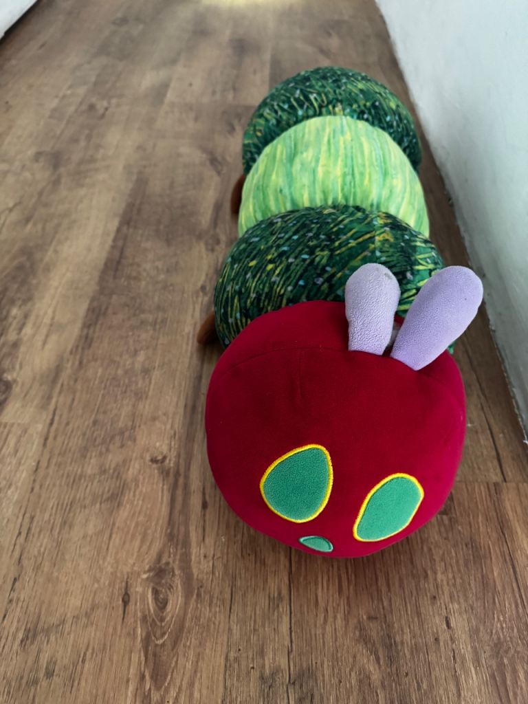 The Very hungry Caterpillar Large Plush Toy 
