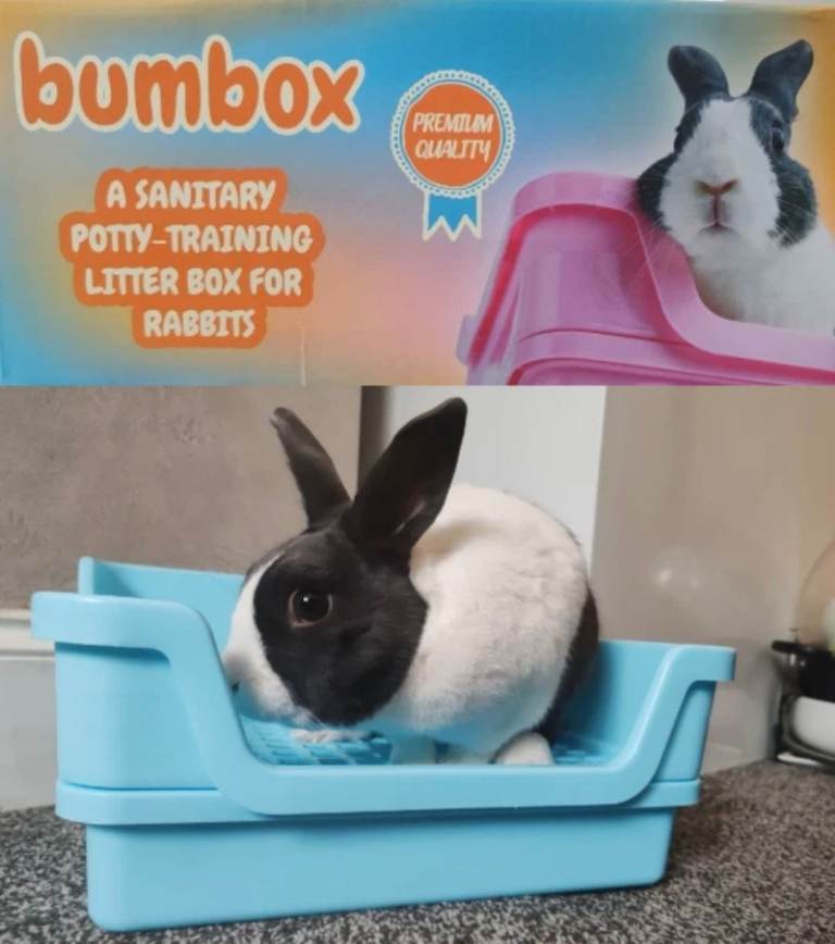 Bumbox Large Luxury rabbit litter tray