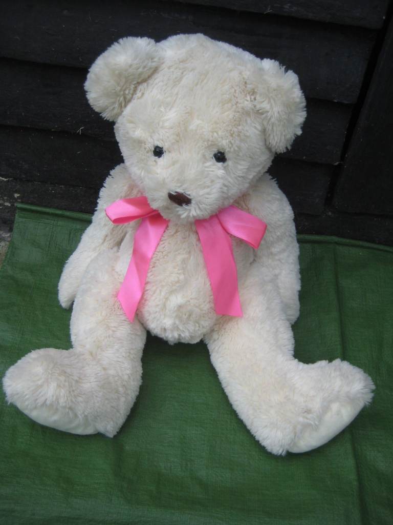 Large 50 cm Teddy Bear Soft Toy for £4.00