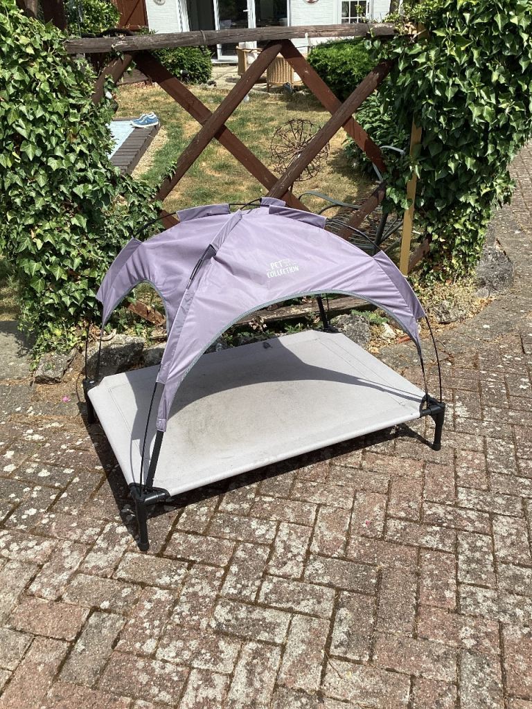Raised dog bed with sun shade