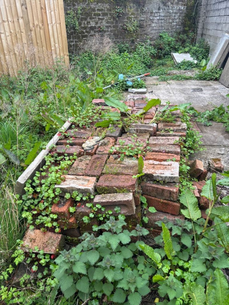 FREE - 200+ Red Bricks