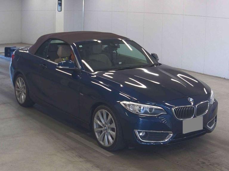 2016 BMW 2 Series 220I CABRIOLET LUXURY Convertible Petrol Automatic