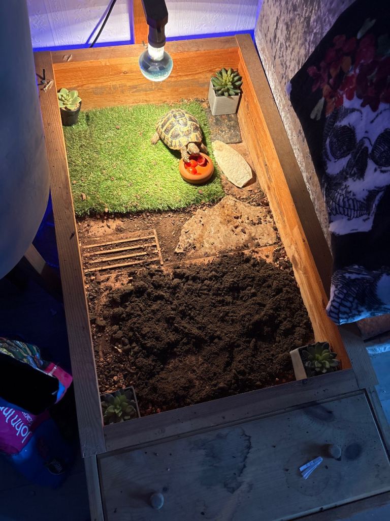 Tortoise Table 