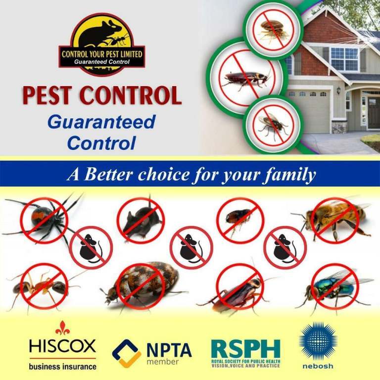 BPCA  pest control Bedbugs Mice Rat Cockroaches Pest Removals/Extermination Mouse control same day