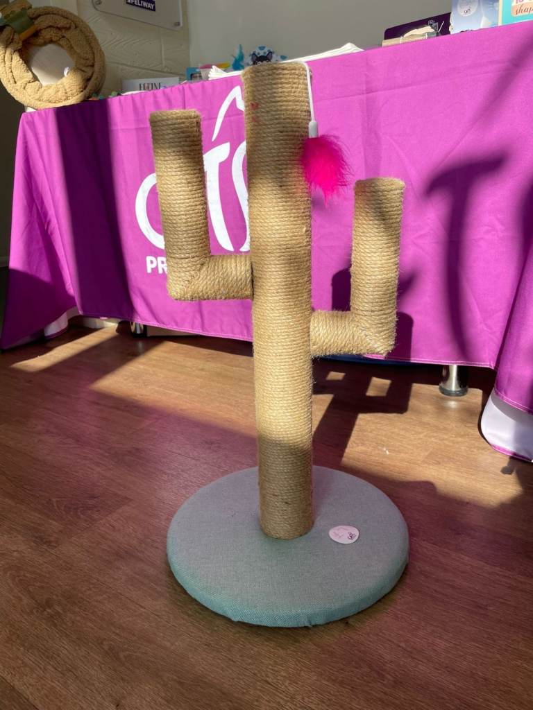 *Great Condition* Cactus Cat Scratcher