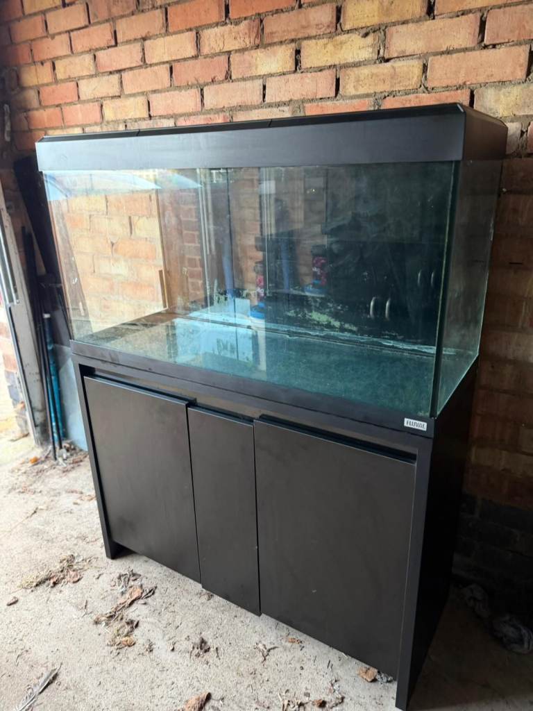Fluval Roma 200 Black fish tank aquarium tropical setup delivery 🚚