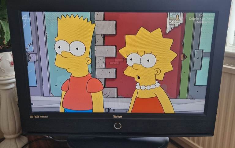 32" Tevion TV spares or repair