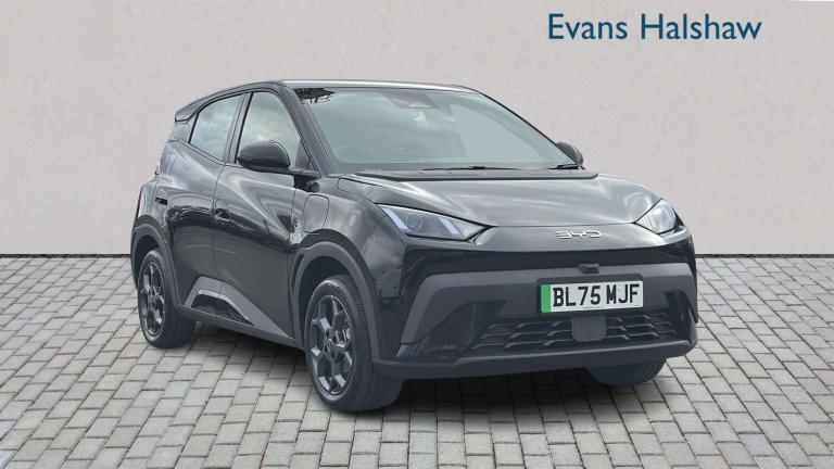 2025 BYD Dolphin 65kW Boost 43kWh 5dr Auto HATCHBACK ELECTRIC Automatic