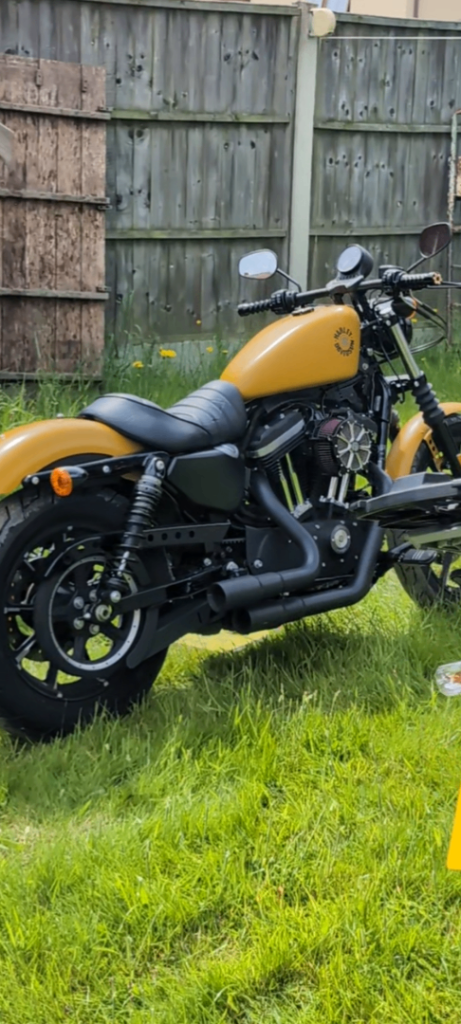 Harley-Davidson, SPORTSTER IRON, 2020, 883 (cc)