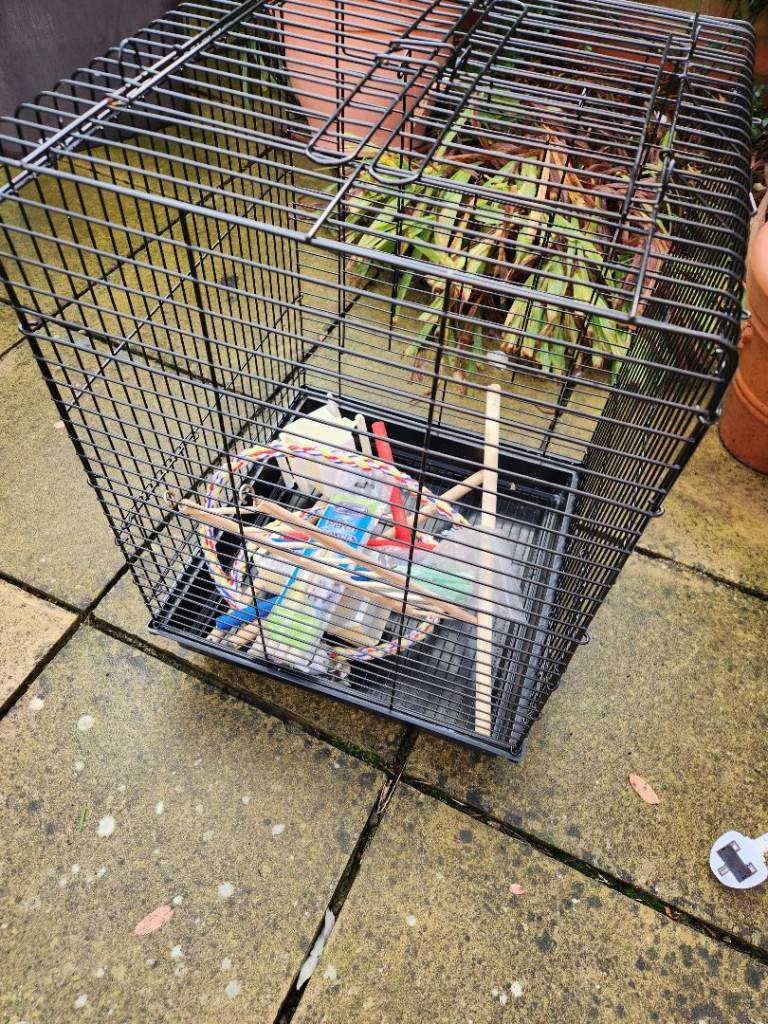 Bird cage and accessories 