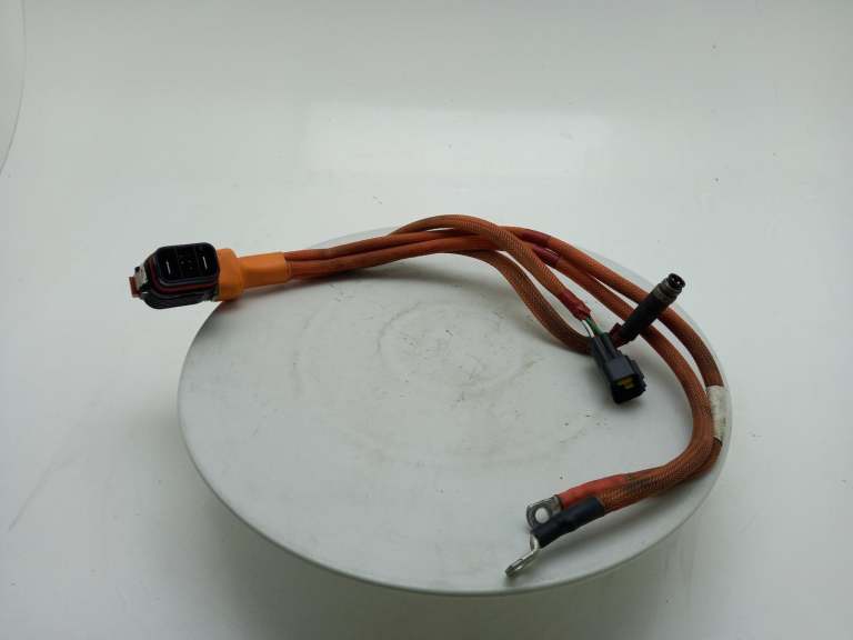 2009 Vertix Electric Wiring Harness Tal5002054000000