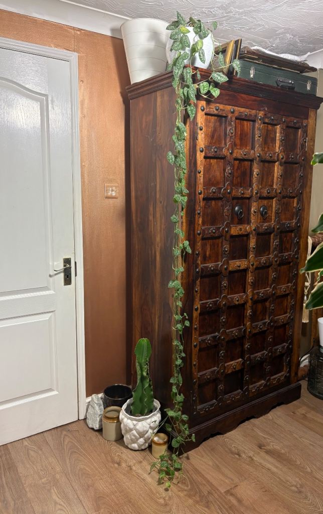 XXXL Epipremnum Silverly Ann